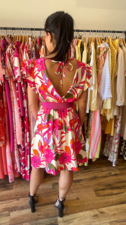 Vêtements courte Opale Curvy